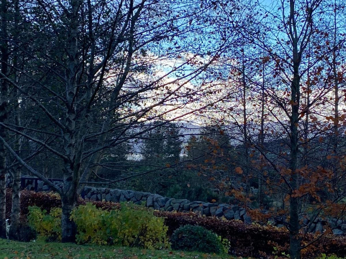 Rostrevor Valley House -Mountainside Hot Tub View Newry Exterior foto